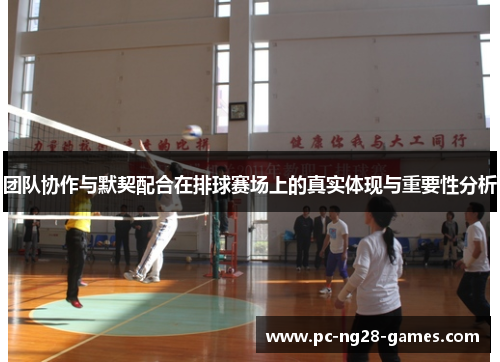 团队协作与默契配合在排球赛场上的真实体现与重要性分析
