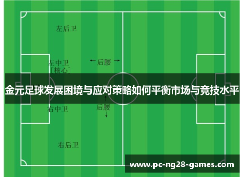 金元足球发展困境与应对策略如何平衡市场与竞技水平