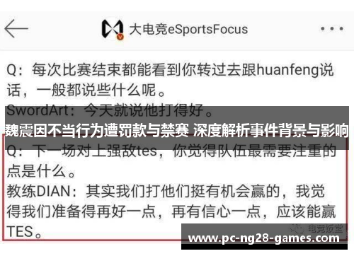 魏震因不当行为遭罚款与禁赛 深度解析事件背景与影响