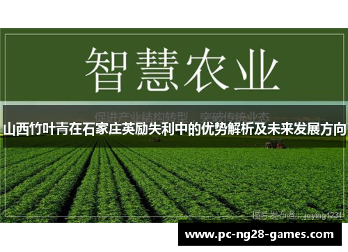 山西竹叶青在石家庄英励失利中的优势解析及未来发展方向