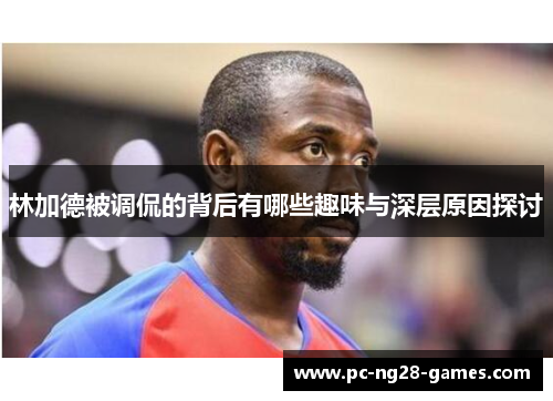 林加德被调侃的背后有哪些趣味与深层原因探讨